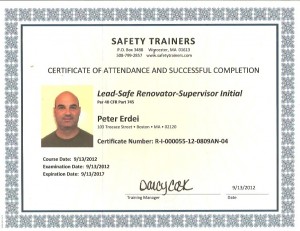 Peter Erdei - Lead Safe