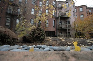 Green Roof