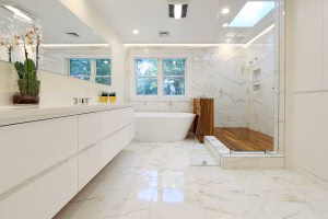 Chestnut Hill Master Bathroom teak shower