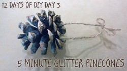 COVER 5 MINUTE GLITTER PINECONES