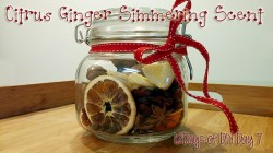 cover photo citrus-ginger simmering scent