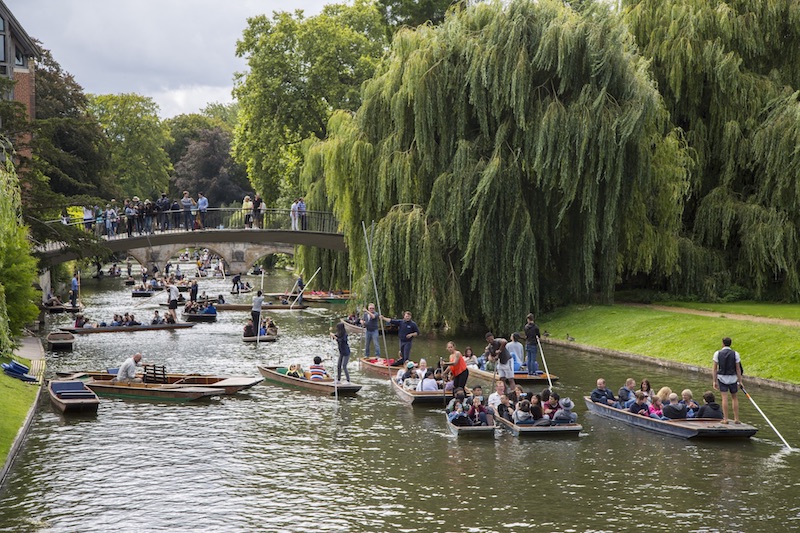 Spotlight Cambridge, Massachusetts