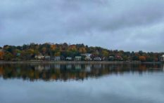 boston fall foliage over the lak