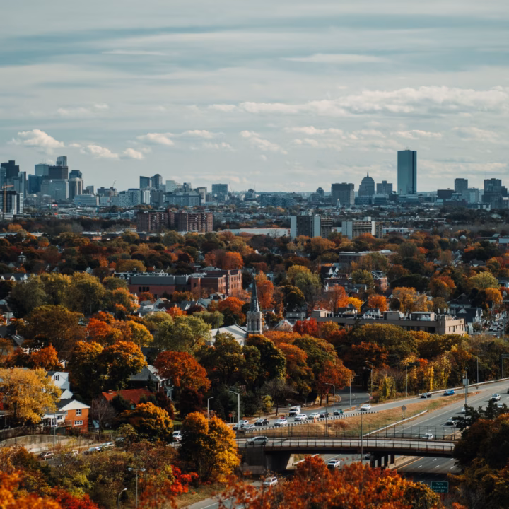 boston fall foliage with city overlooking in the distance