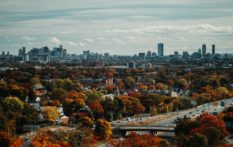 boston fall foliage with city overlooking in the distance