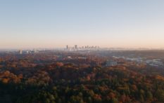 boston skyline with the fall foliage in foreground