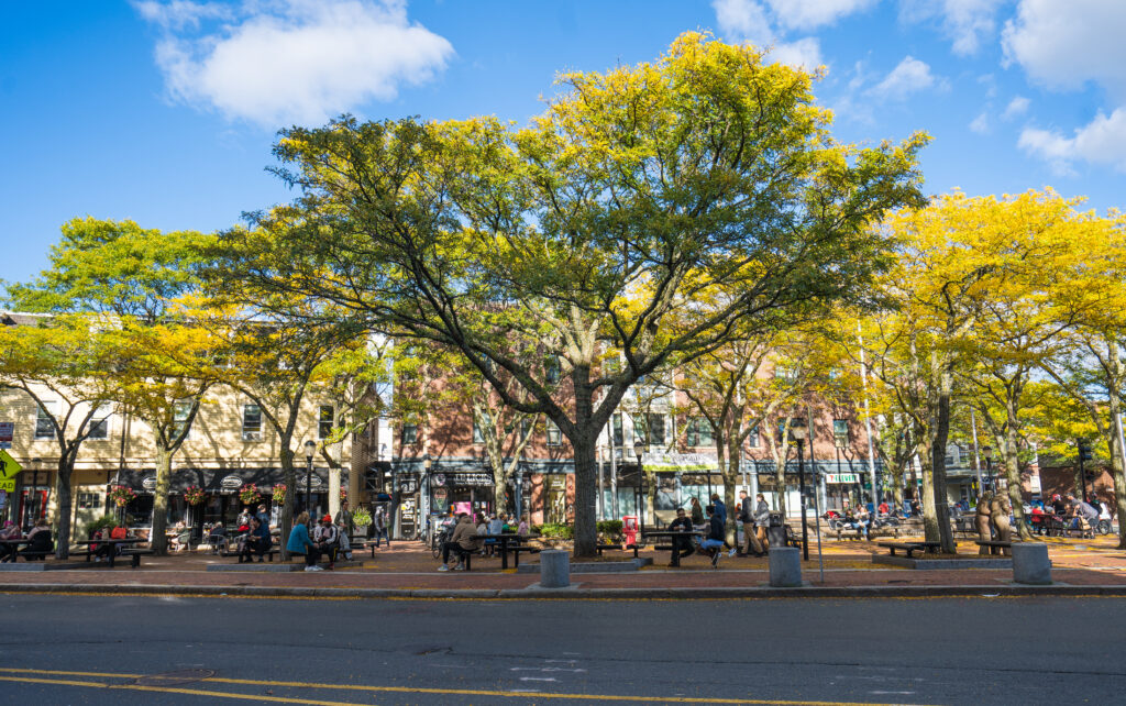 Why Somerville? A Spotlight on one of Boston’s Oldest, Most Diverse and Now Most Sustainable Neighborhoods