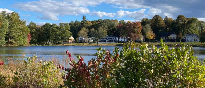 overlooking small lake with houses in background in lexington ma