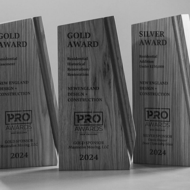 Photo of NEDC's 2024 Awards